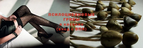 дурь Тихвин