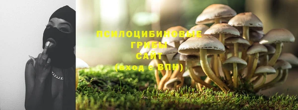 тгк Тобольск
